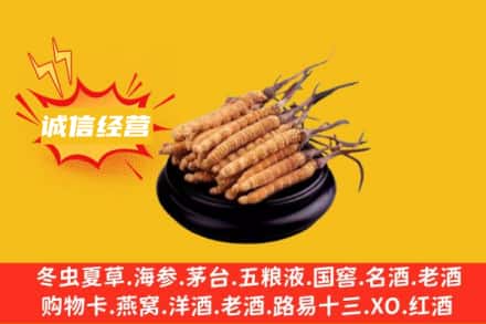 皇姑区回收冬虫夏草
